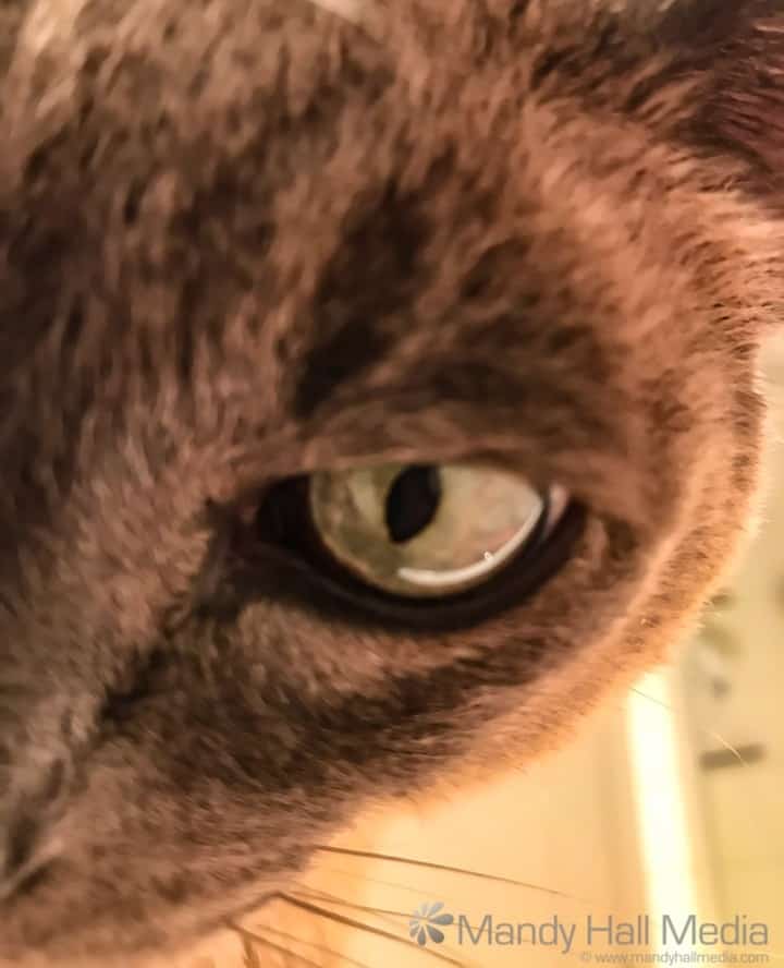 Judgement