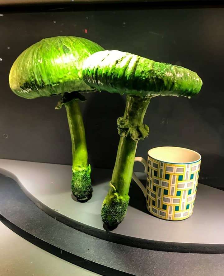 Mushrooms in a shop front in Sydney