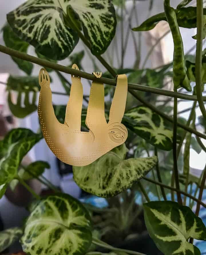 Happy sloth