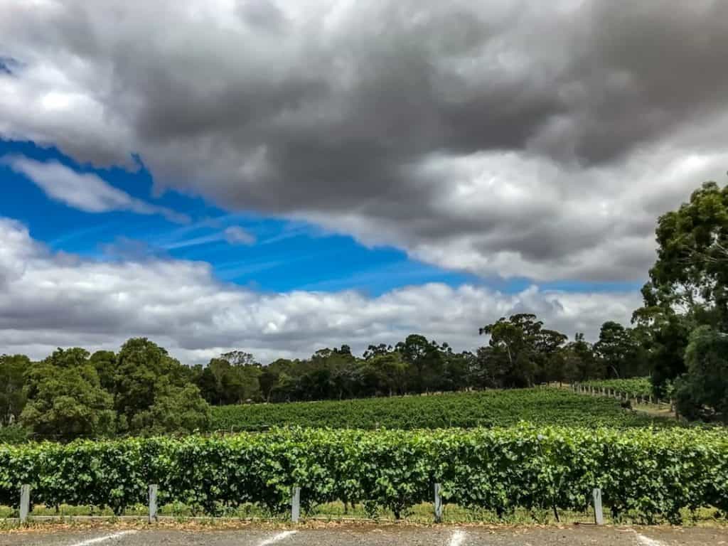 Gisborne Peak winery