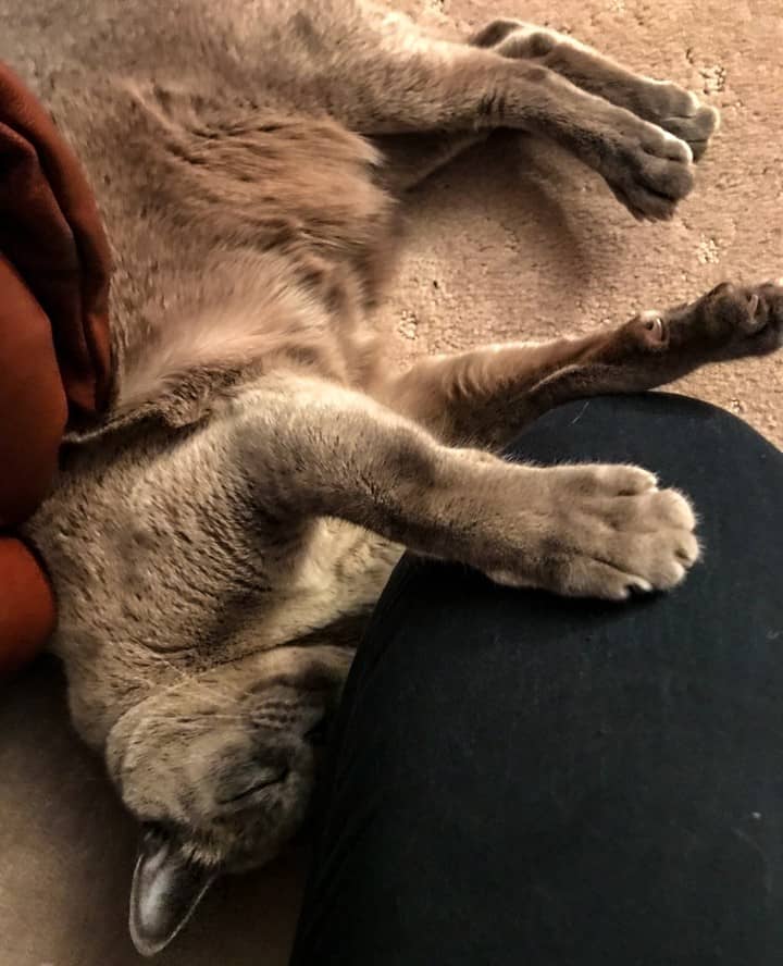 Bod is happy to see me