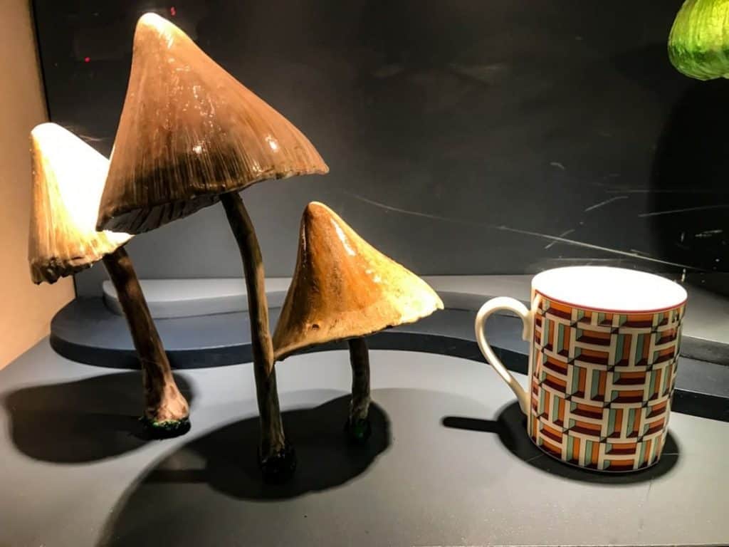 Mushrooms in a shop front in Sydney