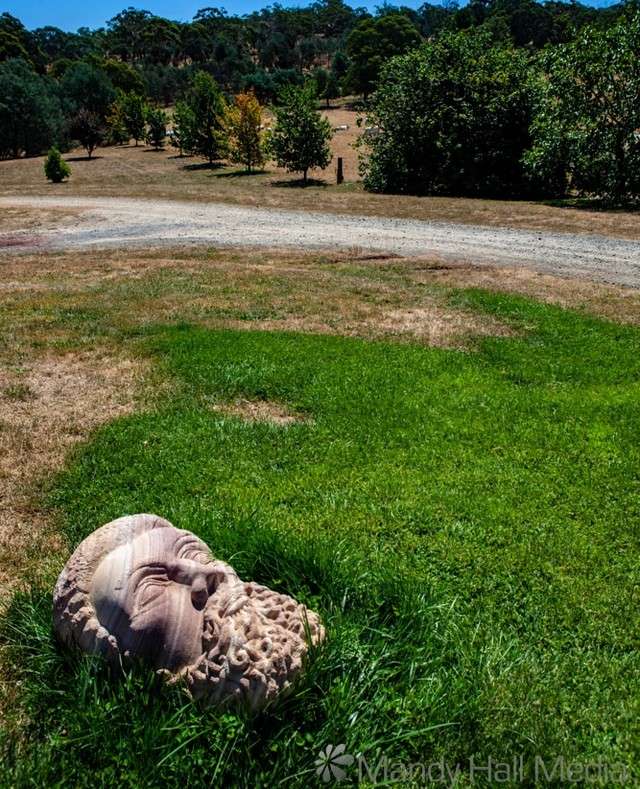 “Zeus looking Eastward” by Adrian Spurr at Art in the Vines at Hanging Rock Winery