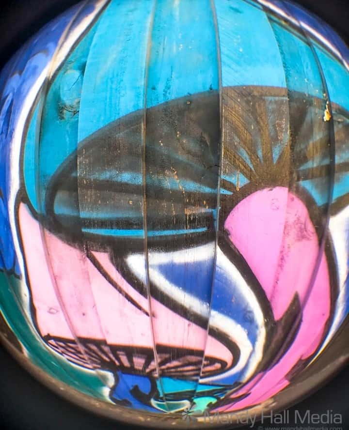 Fisheye toadstool