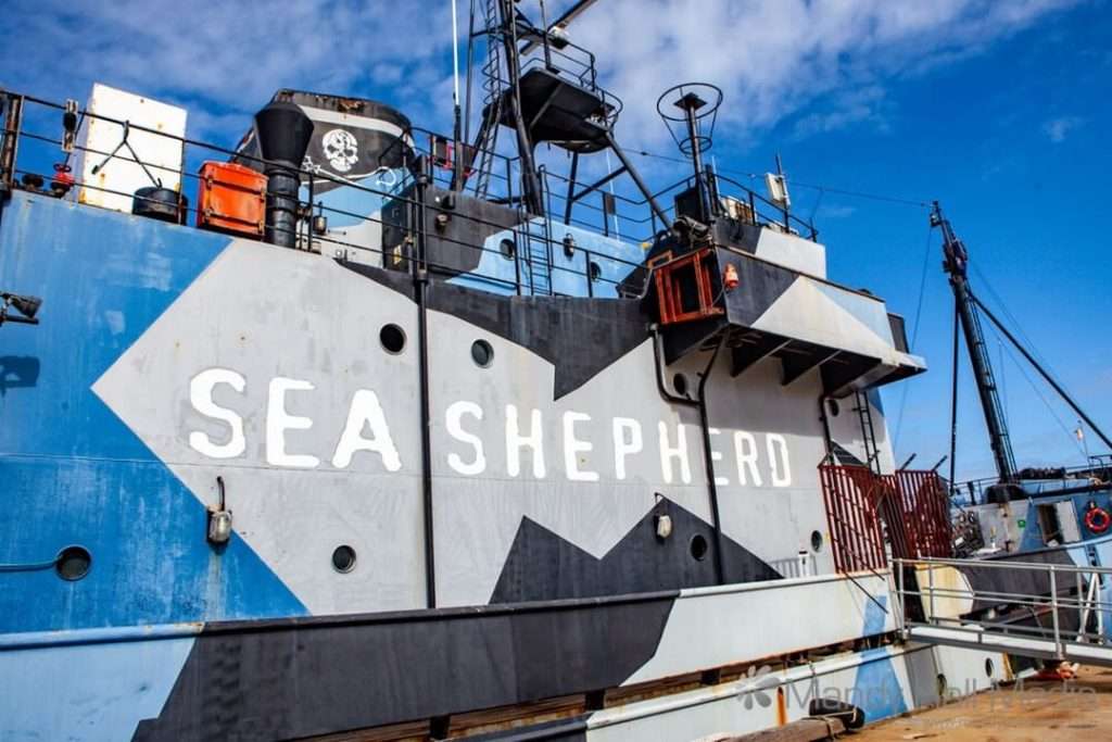 The Sea Shepherd in Williamstown