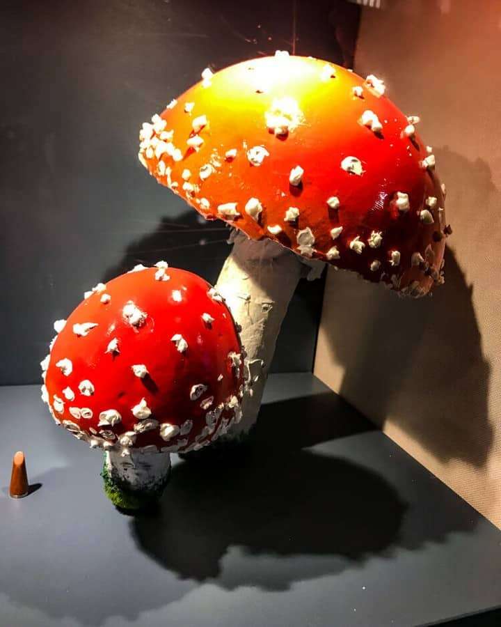 Ceramic toadstools