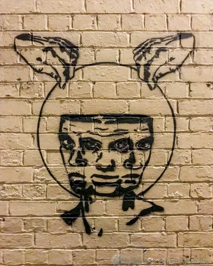 Faces