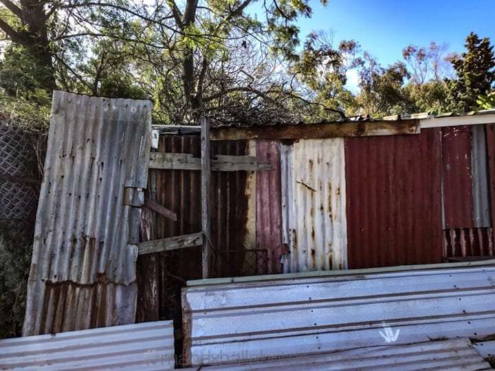 Very old fence