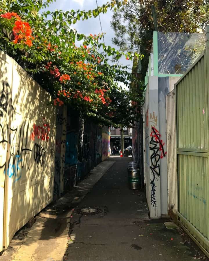 Laneway in Redfern